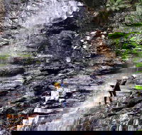 Full-Day Canyoning Experience at Stunning Empress Canyon - Sunshine Coast Guide