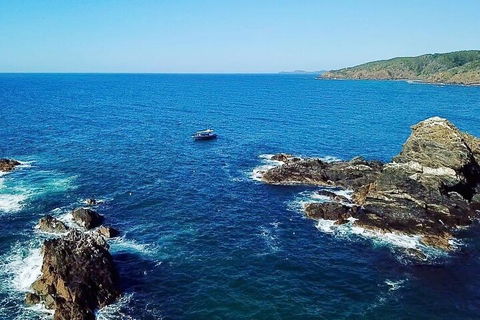 Julian Rocks Byron Bay Cruise - Sunshine Coast Guide 0