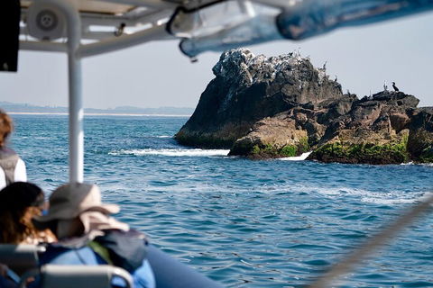 Julian Rocks Byron Bay Cruise - Sunshine Coast Guide 2