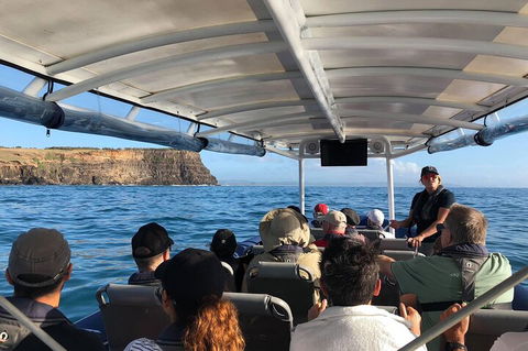 Julian Rocks Byron Bay Cruise - Sunshine Coast Guide 4