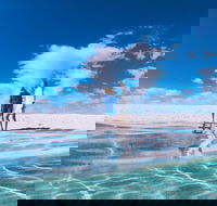 4-Day Coastal Loop via Monkey Mia Wild Dolphins Kalbarri Pinnacles Perth Return - Sunshine Coast Guide