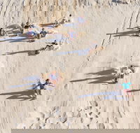 Unlimited Sandboarding