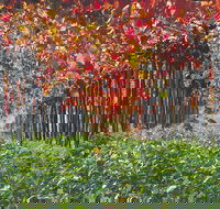 Margaret River Private Tour - Sunshine Coast Guide