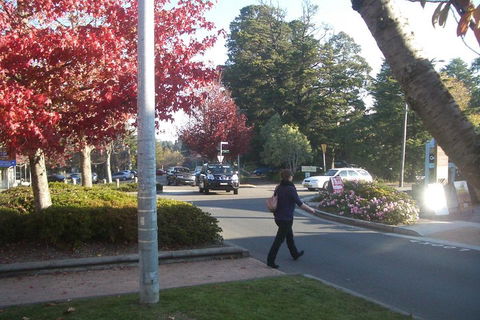PRIVATE All-Day Blue Mountains Tour With Professional Guide For Up To 4 People - Sunshine Coast Guide 1