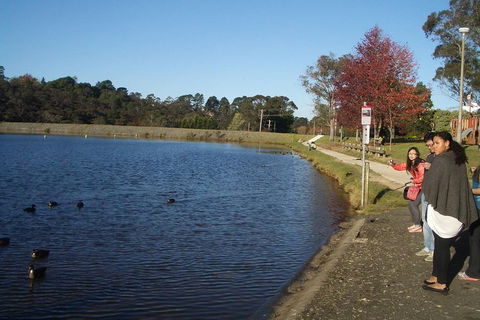 PRIVATE All-Day Blue Mountains Tour With Professional Guide For Up To 4 People - Sunshine Coast Guide 2