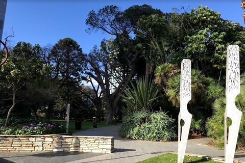 Perth Scavenger Hunt: Perched On A Swan - Sunshine Coast Guide 2