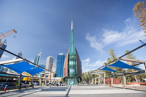 Perth Scavenger Hunt: Perched On A Swan - Sunshine Coast Guide 3