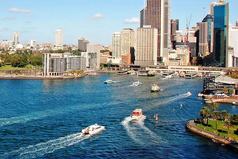 Explore The Culture Of Sydney Harbour On This Walking Audio Tour To Lavender Bay - Sunshine Coast Guide 4