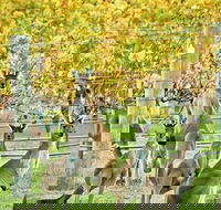 Margaret River Indulge and Discover Day Tour - Sunshine Coast Guide