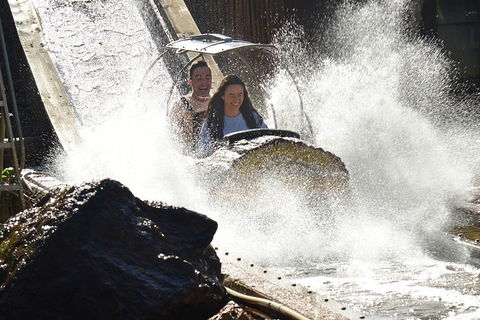 Theme Park Transfer From Brisbane - Sunshine Coast Guide 1