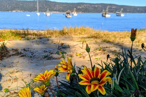 Central Coast Explorer With 'Personalised Sydney Tours' - Sunshine Coast Guide 2
