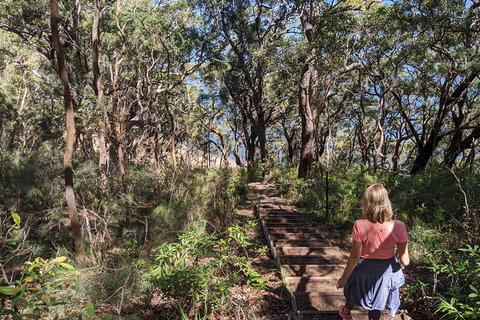 Central Coast Explorer With 'Personalised Sydney Tours' - Sunshine Coast Guide 4
