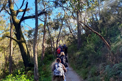 Self-Guided Waterfall Gully To Mount Lofty Hike From Adelaide - Sunshine Coast Guide 1