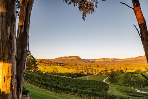 Taste Of The Blue Mountains - Lunch & Wine Tasting, Beer, Cider & Gin Tasting - Sunshine Coast Guide 1
