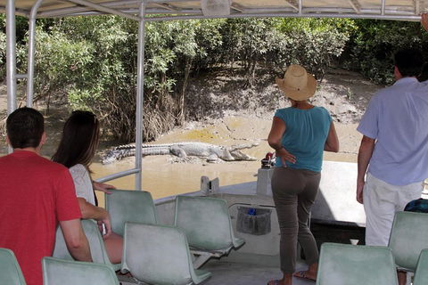 Whitsunday Crocodile Safari Including Lunch - Sunshine Coast Guide 4