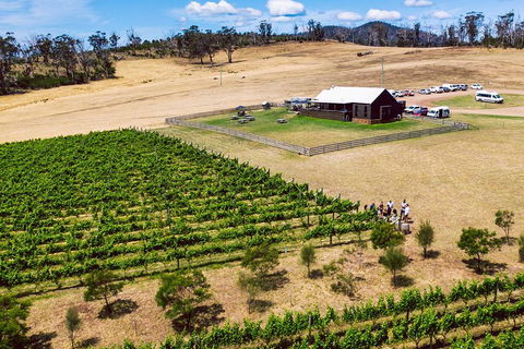 Tasmanian Wine Tour - Sunshine Coast Guide 3