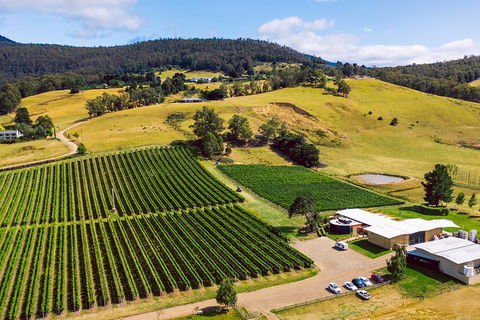 Tasmanian Wine Tour - Sunshine Coast Guide 4
