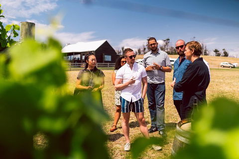 Tasmanian Wine Tour - Sunshine Coast Guide 5