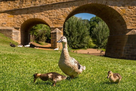 Richmond Historic Afternoon Tour From Hobart - Sunshine Coast Guide 1