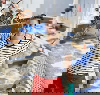 Pinnacles Desert Koalas and Sandboarding 4WD Day Tour from Perth - Sunshine Coast Guide