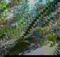 Full Day Cooktown Private Tour - Sunshine Coast Guide