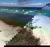 Experience Rottnest with Ferry  Bike Hire from Perth or Fremantle - Sunshine Coast Guide