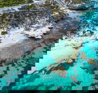 Rottnest Island Round-Trip Ferry from Perth or Fremantle - Sunshine Coast Guide