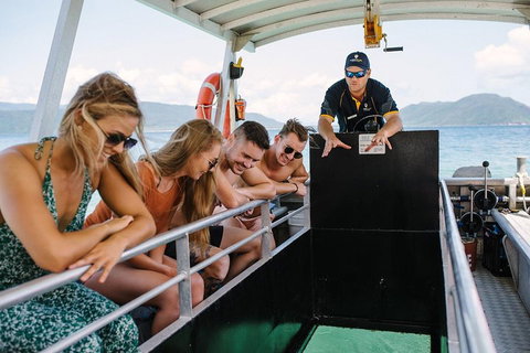 Fitzroy Island Day Trip From Cairns - Sunshine Coast Guide 4