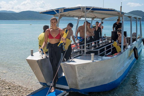 Fitzroy Island Day Trip From Cairns - Sunshine Coast Guide 5
