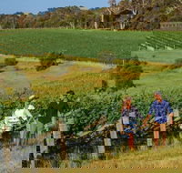 10 Day Perth to Adelaide Private Tour - The Great Australian Wilderness Journey - Sunshine Coast Guide