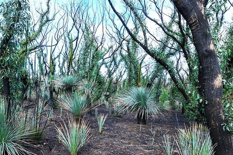 NEW TOUR - Kangaroo Island Road To Recovery Tour (1 Day/1 Night) - Sunshine Coast Guide 3