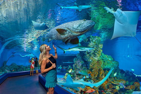 Cairns Aquarium Admission Ticket - Sunshine Coast Guide 3