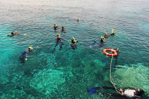 Seastar Luxury Outer Great Barrier Reef Island And Reef Tour From Cairns - Sunshine Coast Guide 2