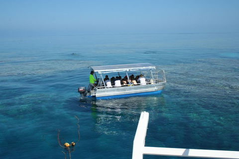 Seastar Luxury Outer Great Barrier Reef Island And Reef Tour From Cairns - Sunshine Coast Guide 5