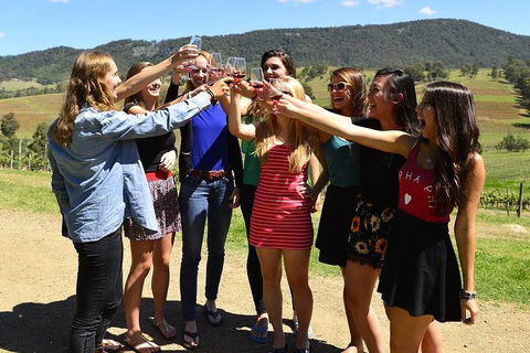 Hunter Valley Wine Tour From Sydney Incl Lunch, Cheese, Chocolate And Distillery - Sunshine Coast Guide 3