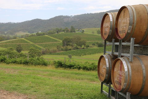 Hunter Valley Wine Tour From Sydney Incl Lunch, Cheese, Chocolate And Distillery - Sunshine Coast Guide 5