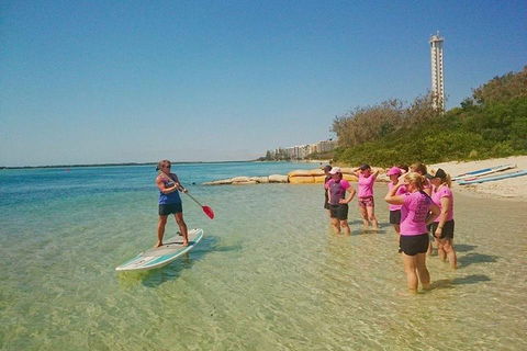 Golden Beach 1-Hour Stand-Up Paddleboard Hire On The Sunshine Coast - Sunshine Coast Guide 1
