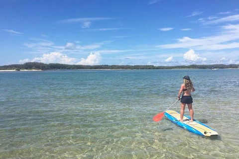 Golden Beach 1-Hour Stand-Up Paddleboard Hire On The Sunshine Coast - Sunshine Coast Guide 4