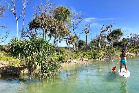 Golden Beach 1-Hour Stand-Up Paddleboard Hire On The Sunshine Coast - Sunshine Coast Guide 5