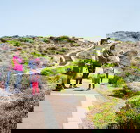 Margaret River Coastal and Wildlife Eco Trip from Busselton or Dunsborough - Sunshine Coast Guide